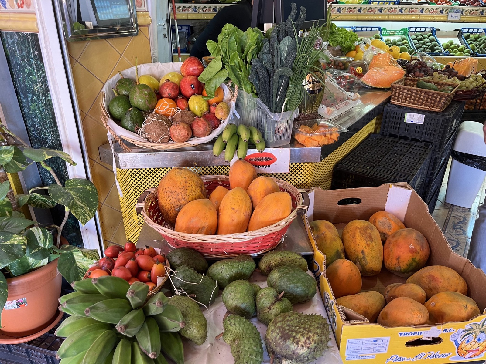 Cesta con una selección variada de frutas en El Rincón de la Gomera